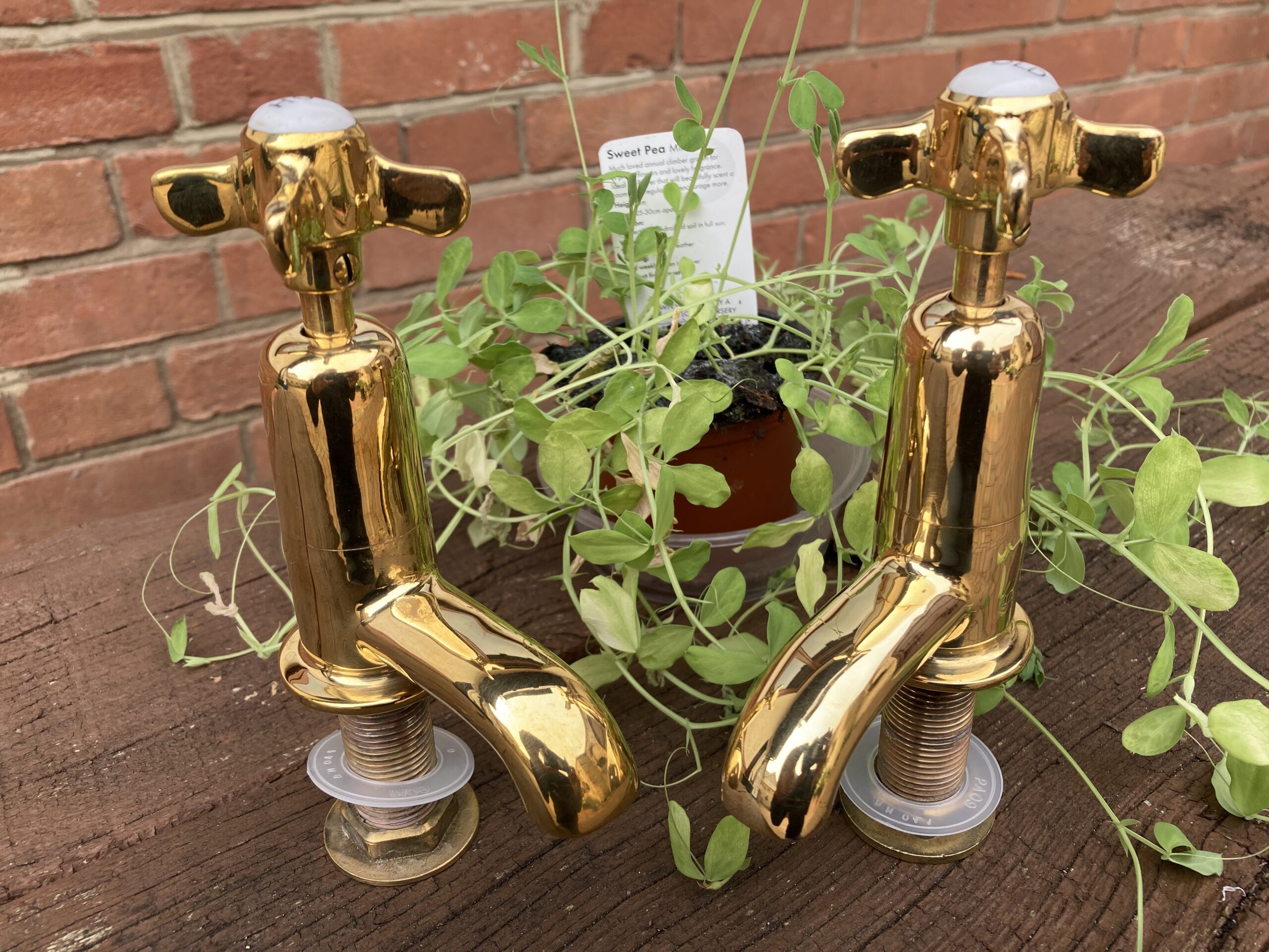 Read more about the article More basin taps, up for grabs – SOLD.